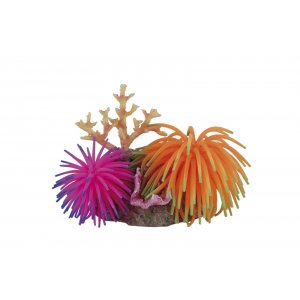 HAQUOSS REEF FANTASY 8 - 12,5x8,5x11h cm